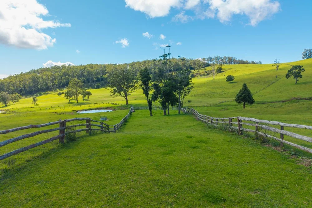 Additional image 4 of 669 Costigans Road, Yarras NSW 2446