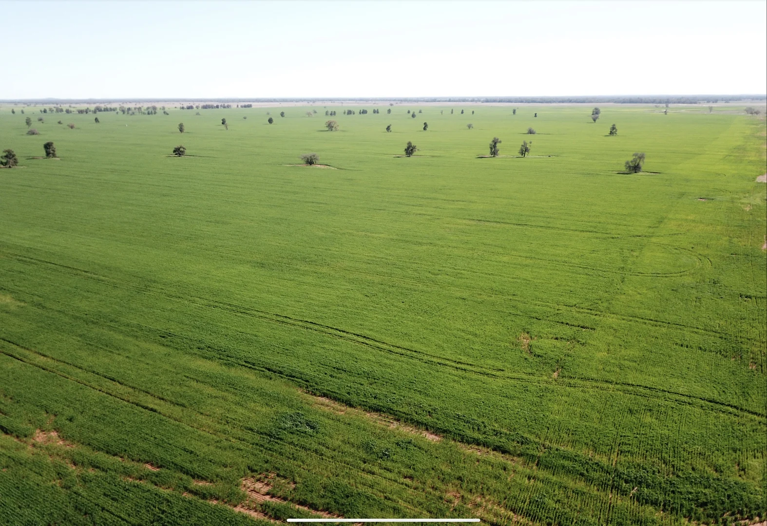 Additional image 6 of 762 Cornells Road, Condobolin NSW 2877