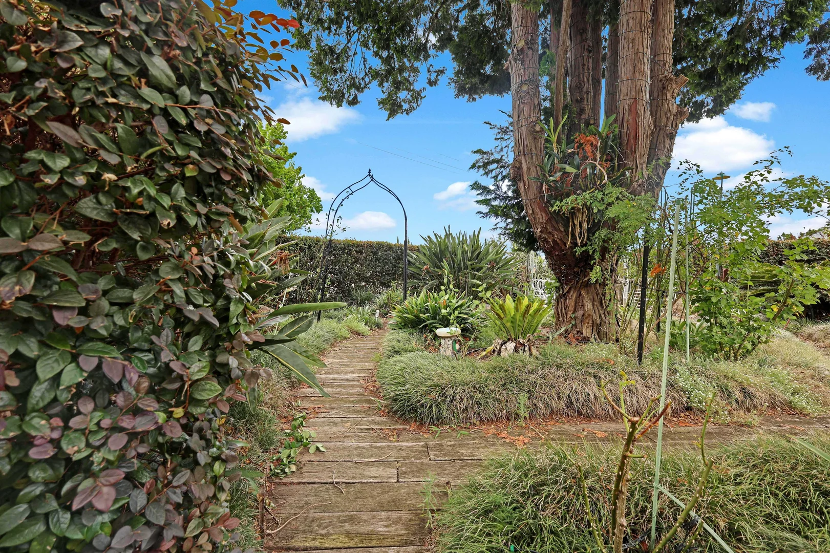 Additional image 29 of 18 Purnawilla Court, Middle Ridge QLD 4350