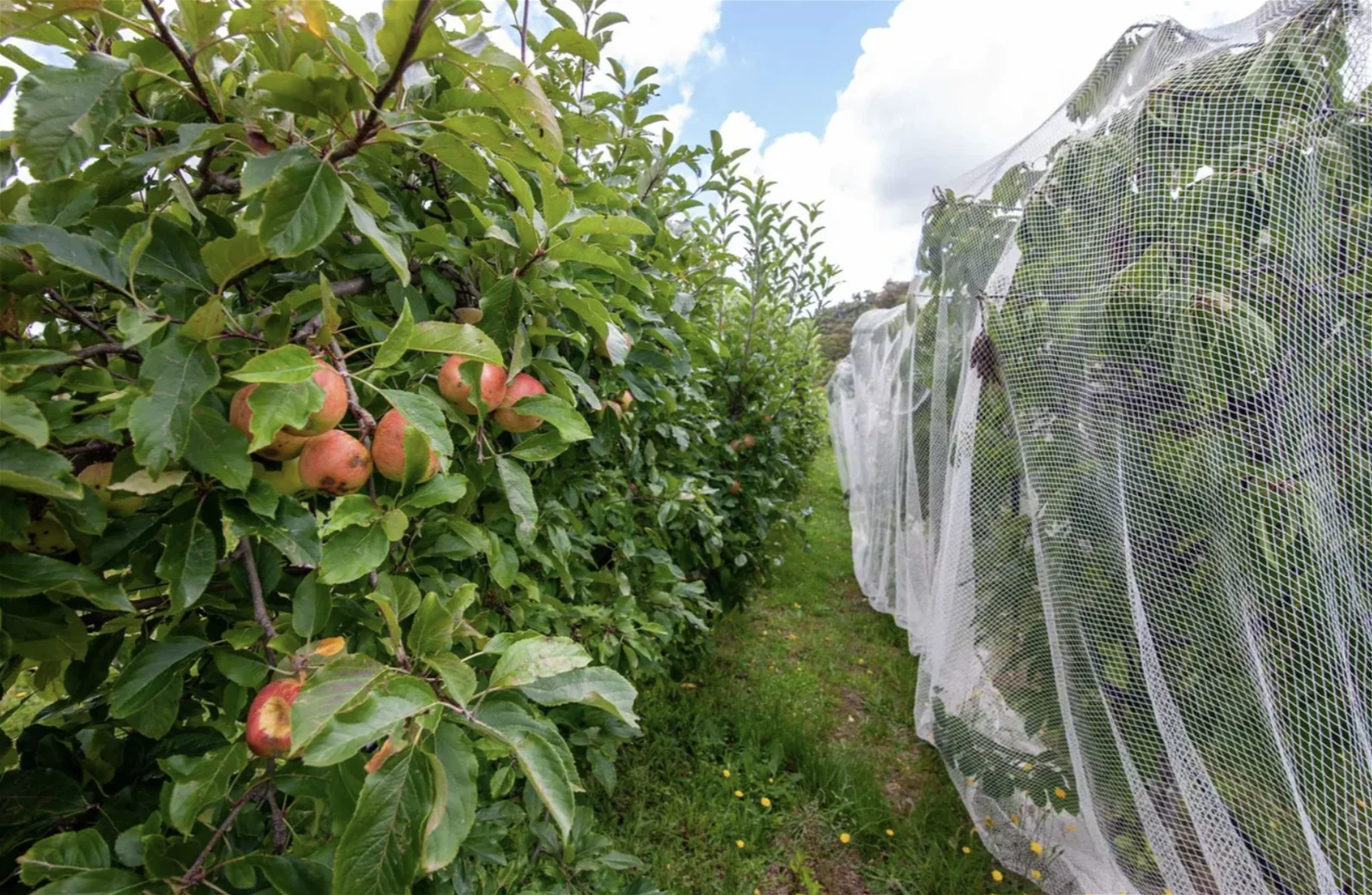 Additional image 4 of 881 Mulgowrie Road, Crookwell NSW 2583