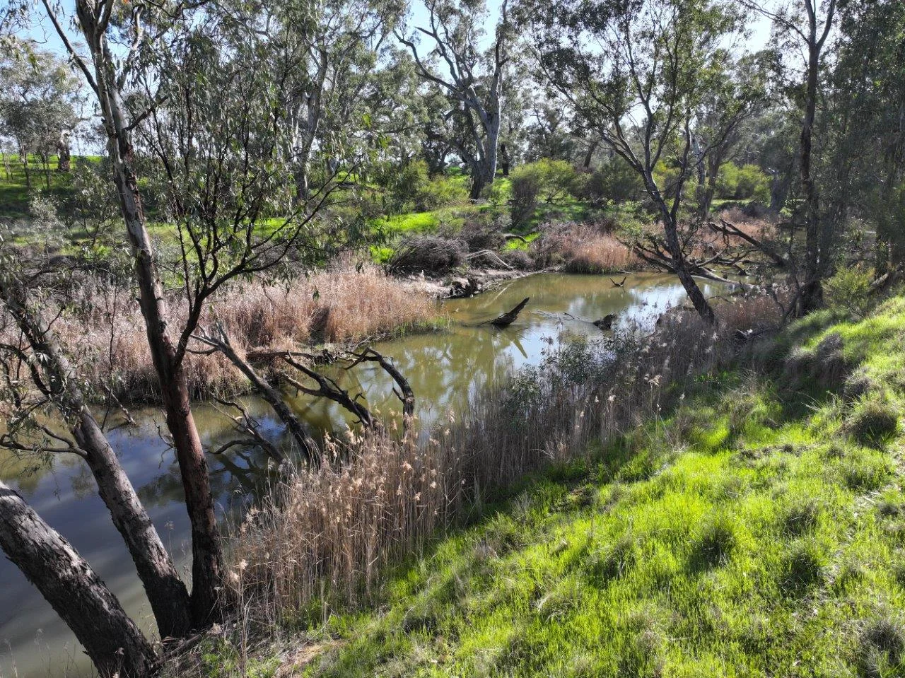 Additional image 20 of 747 Old Bridgewater-Serpentine Road, Serpentine VIC 3517