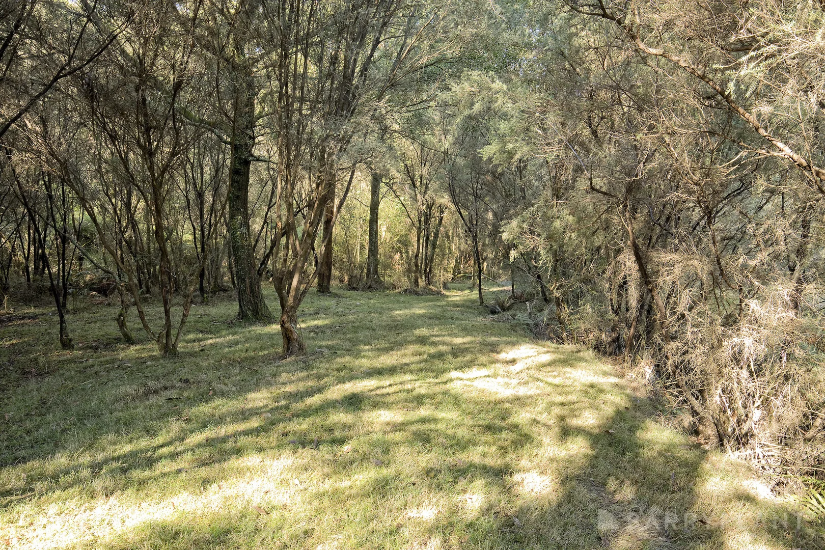 Additional image 24 of 450 Sheepstation Creek Road, Yellingbo VIC 3139