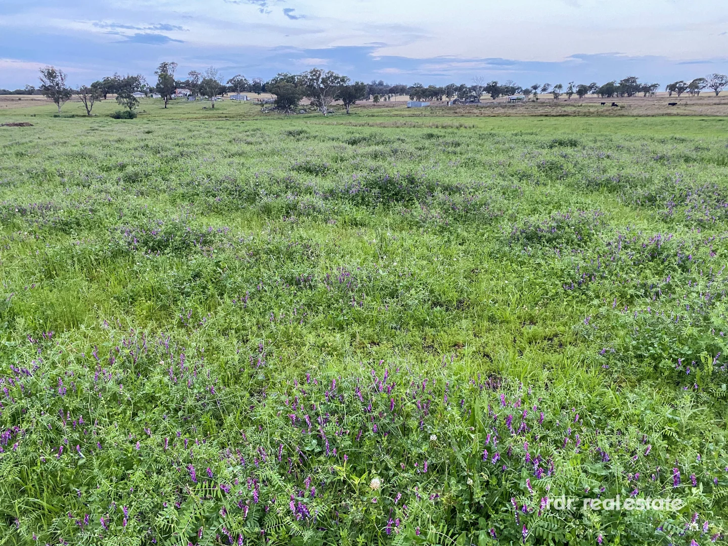 Additional image 31 of 911 Karoola Rd, Graman, Inverell NSW 2360