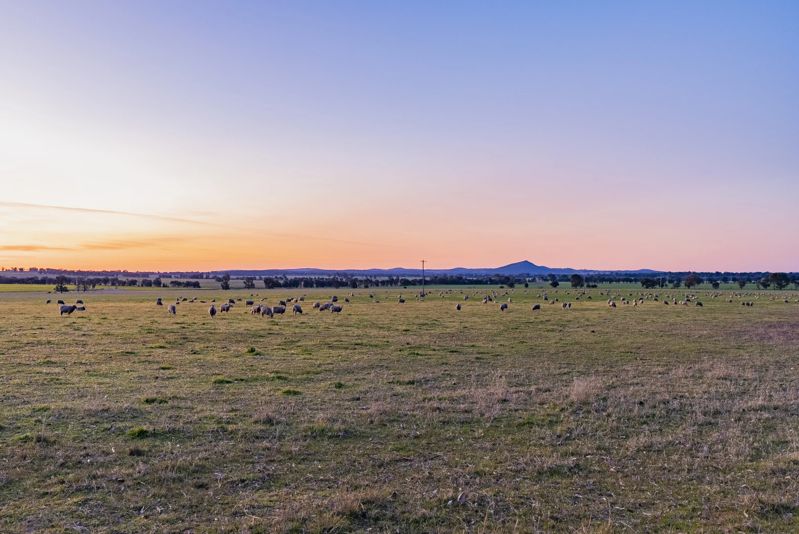 Additional image 15 of 1349 Trungley Hall Road, Temora NSW 2666