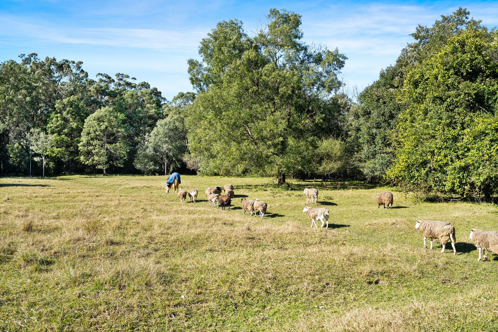 Additional image 25 of 1559 Mandalong Road, Dooralong NSW 2259