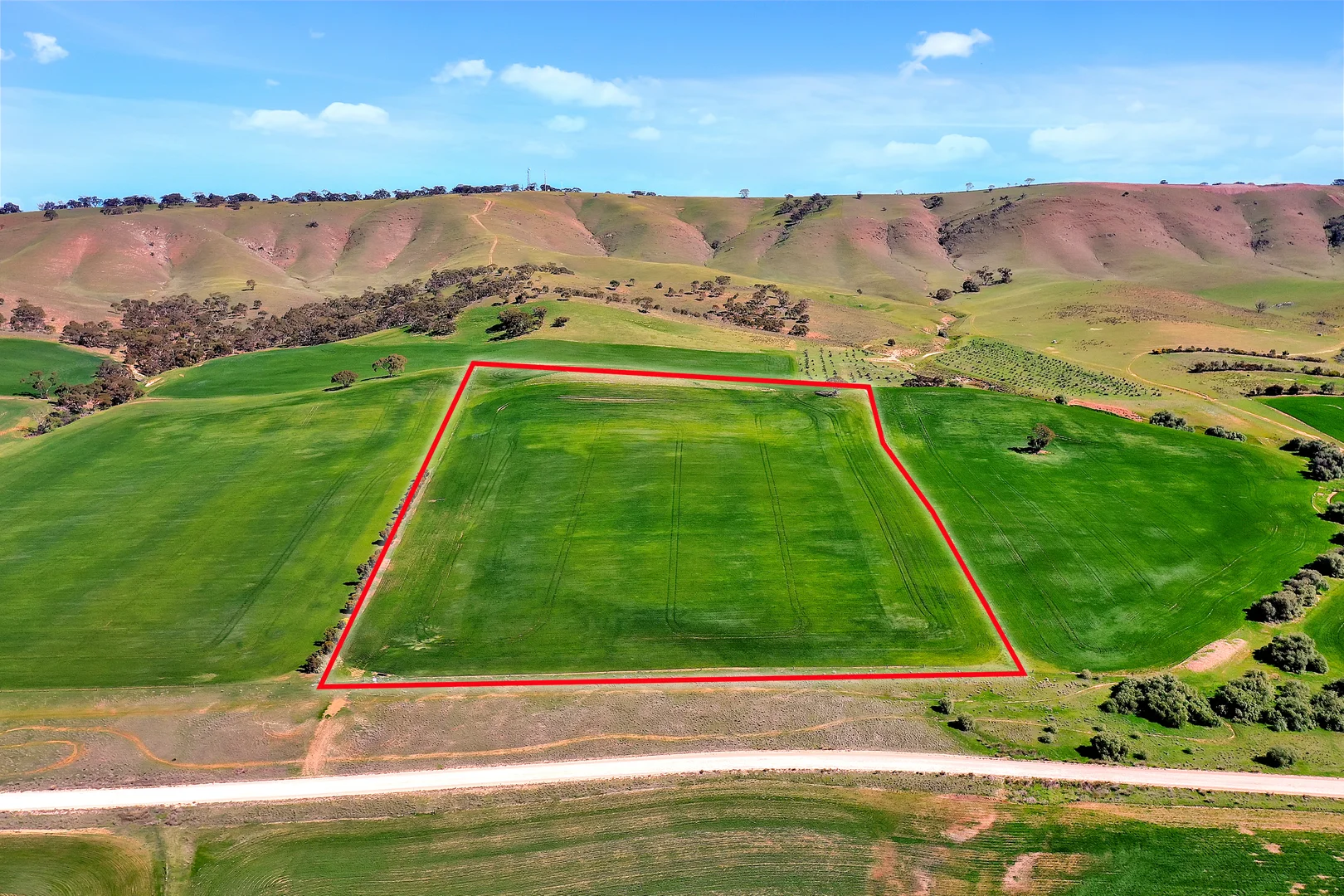 Additional image 3 of 389 Stock Route Road, Robertstown SA 5381