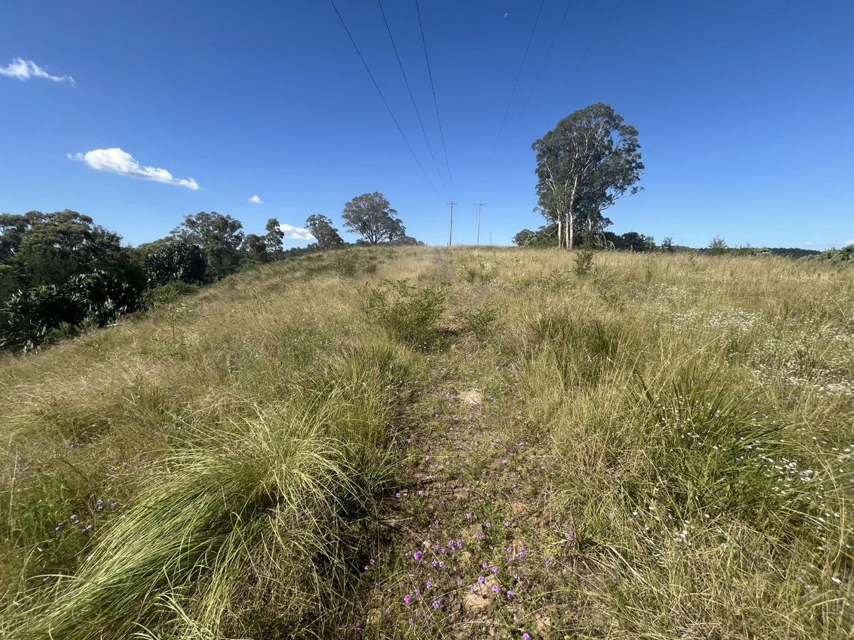 Additional image 9 of Lot 1 Dormans Gully, Bunya Mountains QLD 4405