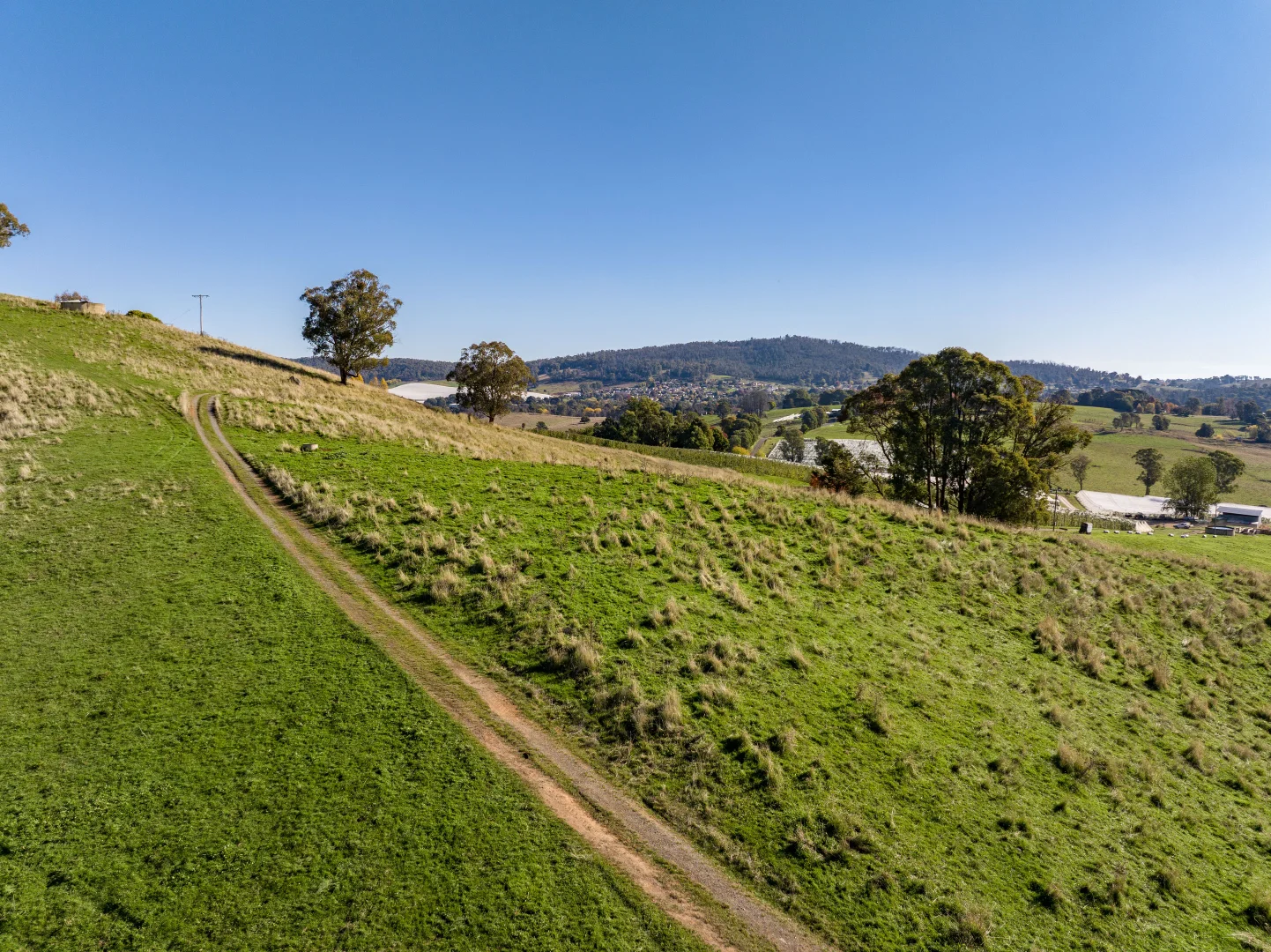 Additional image 16 of 'Gilmore Braes' 1 Forsters Road, Batlow NSW 2730