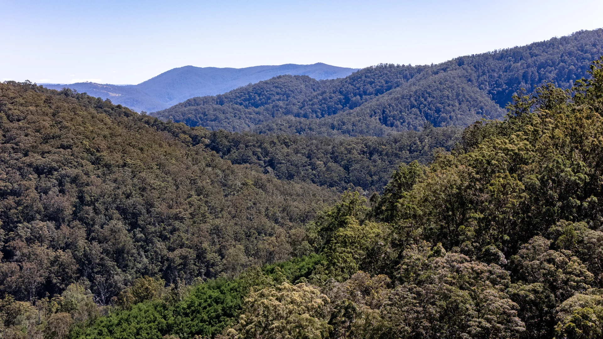 Additional image 6 of 3542 Nowendoc Road, Caffreys Flat NSW 2424