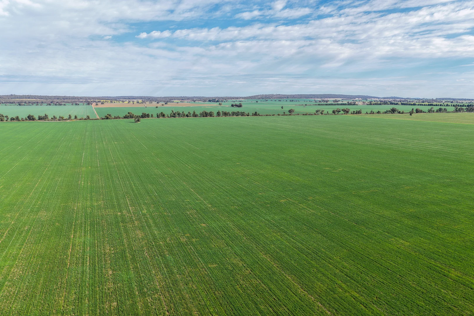 Additional image 4 of Weise Aggregation, Beckom, Ardlethan,, Ariah Park NSW 2665