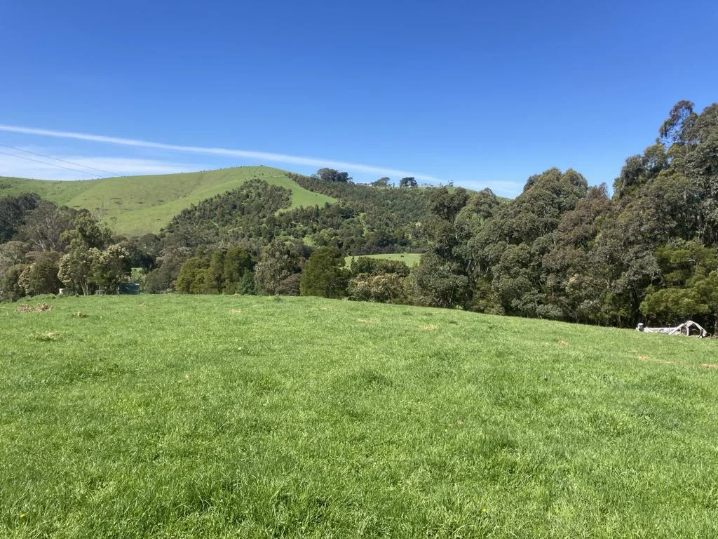 Additional image 10 of 465 Woomera Creek Rd, Toora North VIC 3962