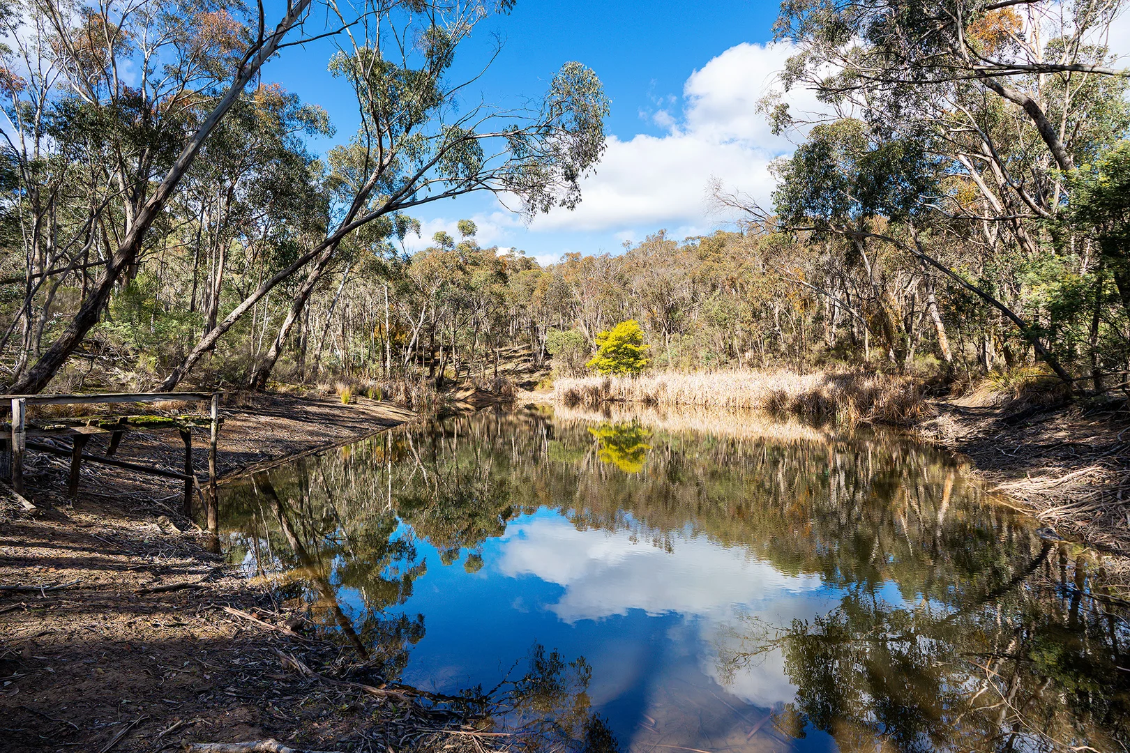 Additional image 7 of 132 Nalya Court, Drummond North VIC 3446