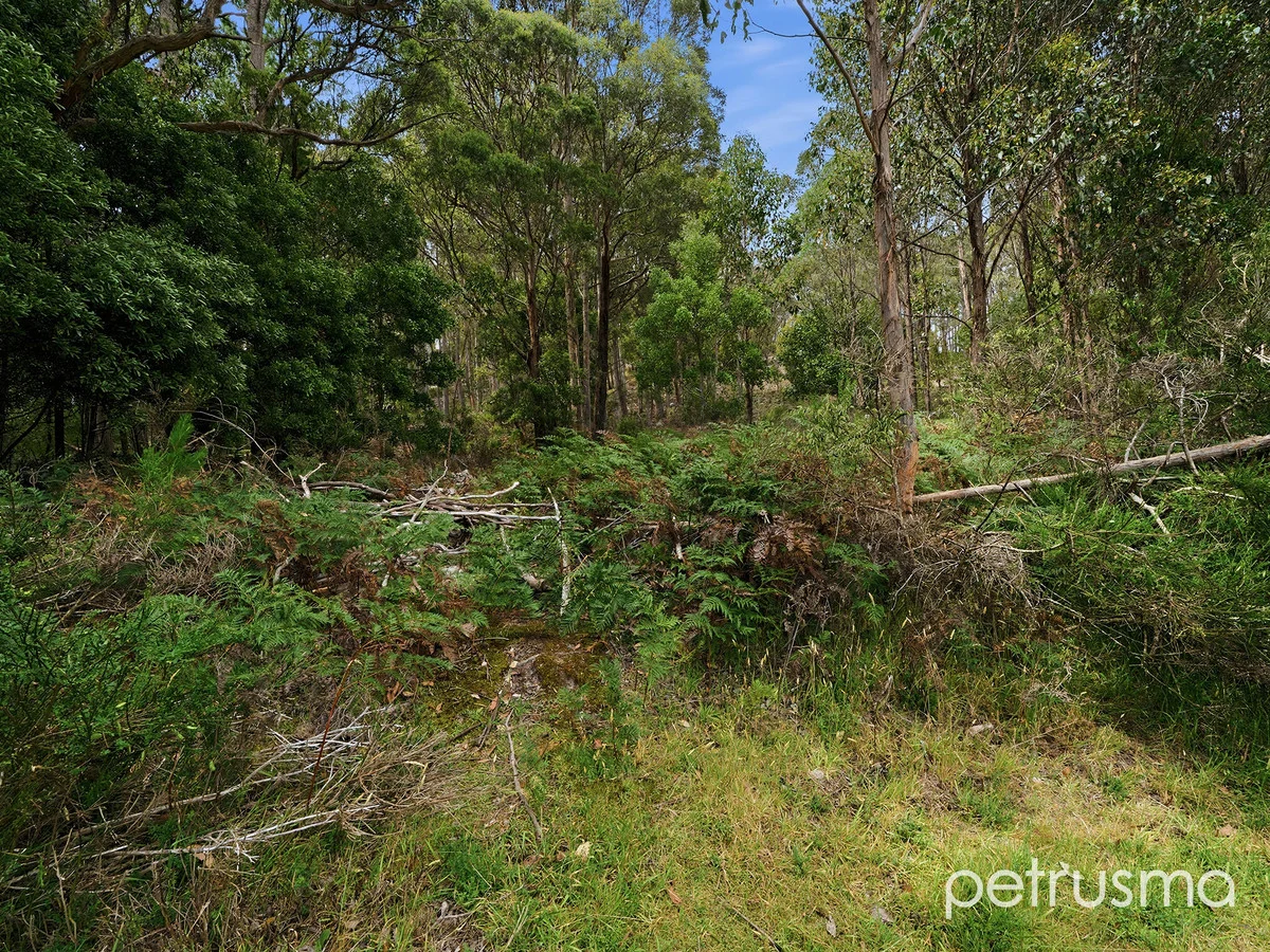 Additional image 9 of Lot 1 Gordon River Road, National Park TAS 7140