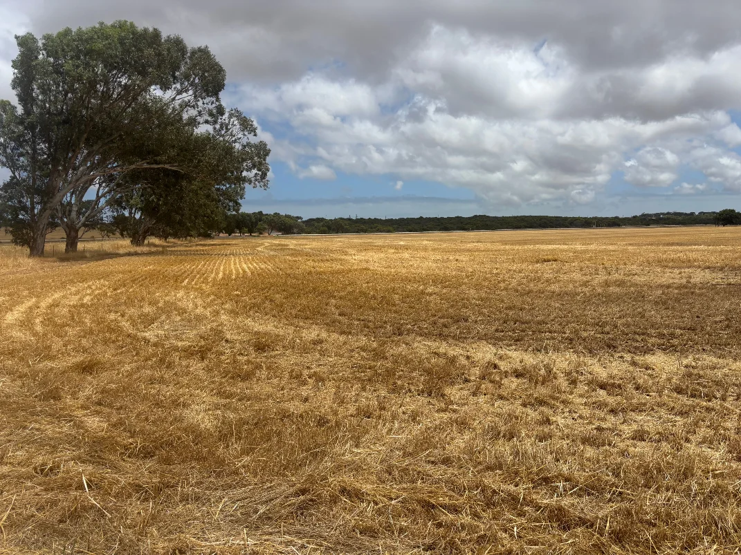 Additional image 6 of Lot 8 Edward Road, Narngulu WA 6532