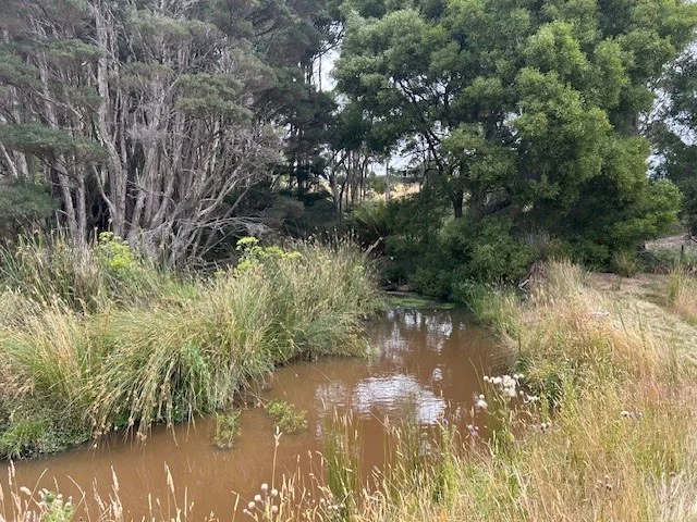 Additional image 9 of 20 Nitida Drive, Scotchtown TAS 7330