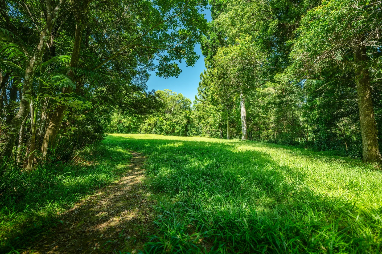 Additional image 13 of 13 Connell Place, Bellingen NSW 2454