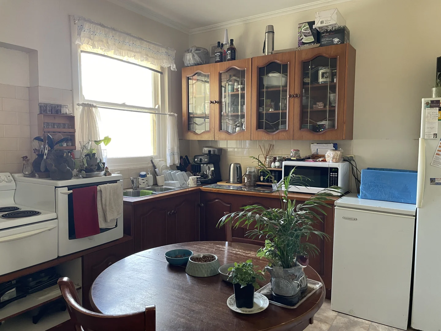 Additional image 6 of 19 Jensen Street, Port Pirie SA 5540