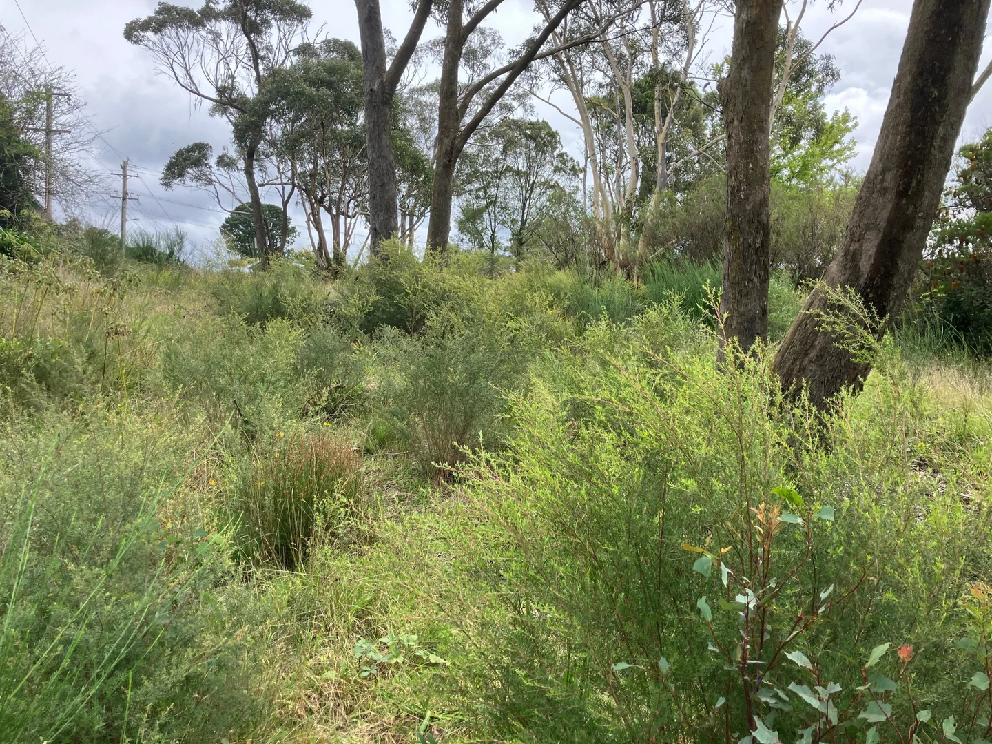 Additional image 6 of 1 Woodlands Road, Katoomba NSW 2780