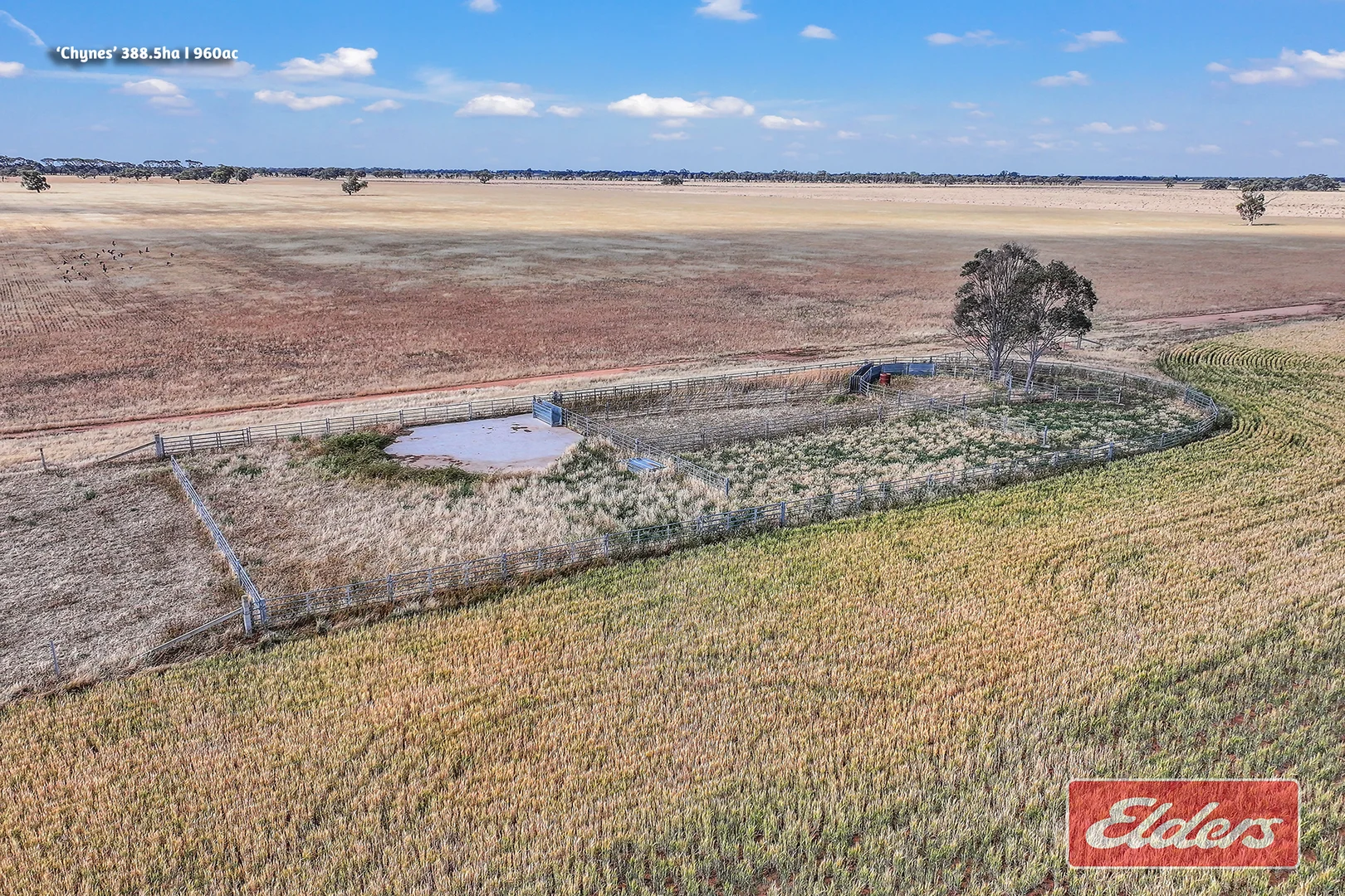 Additional image 22 of 298 Yarrawalla West Road, Yarrawalla VIC 3575