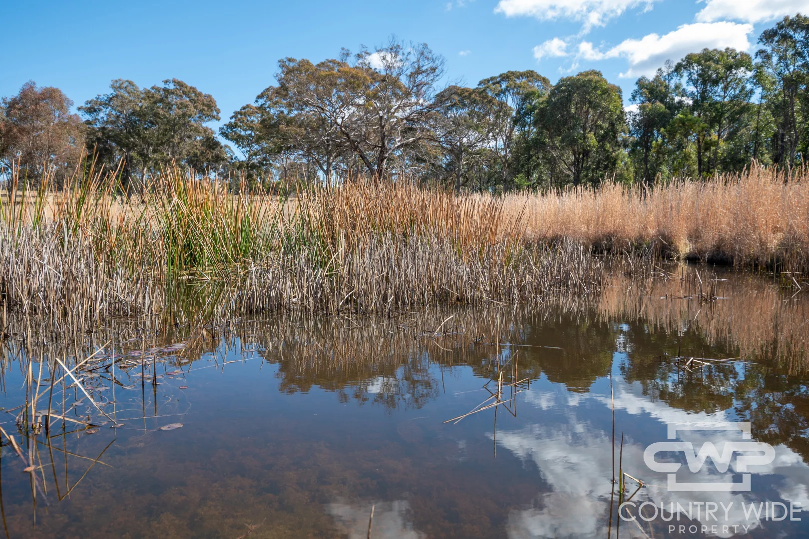 Additional image 6 of 62 Cemetery Rd, Torrington NSW 2371