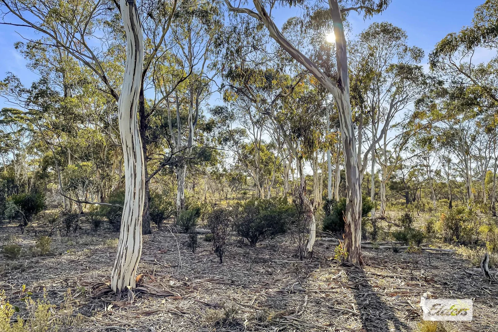 Additional image 7 of 4 Donald-Stawell Road, Stawell VIC 3380