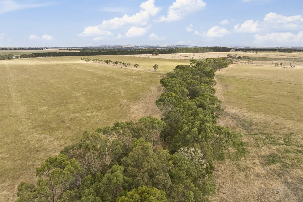 Additional image 8 of Castle Carey Road, Glenormiston North VIC 3265
