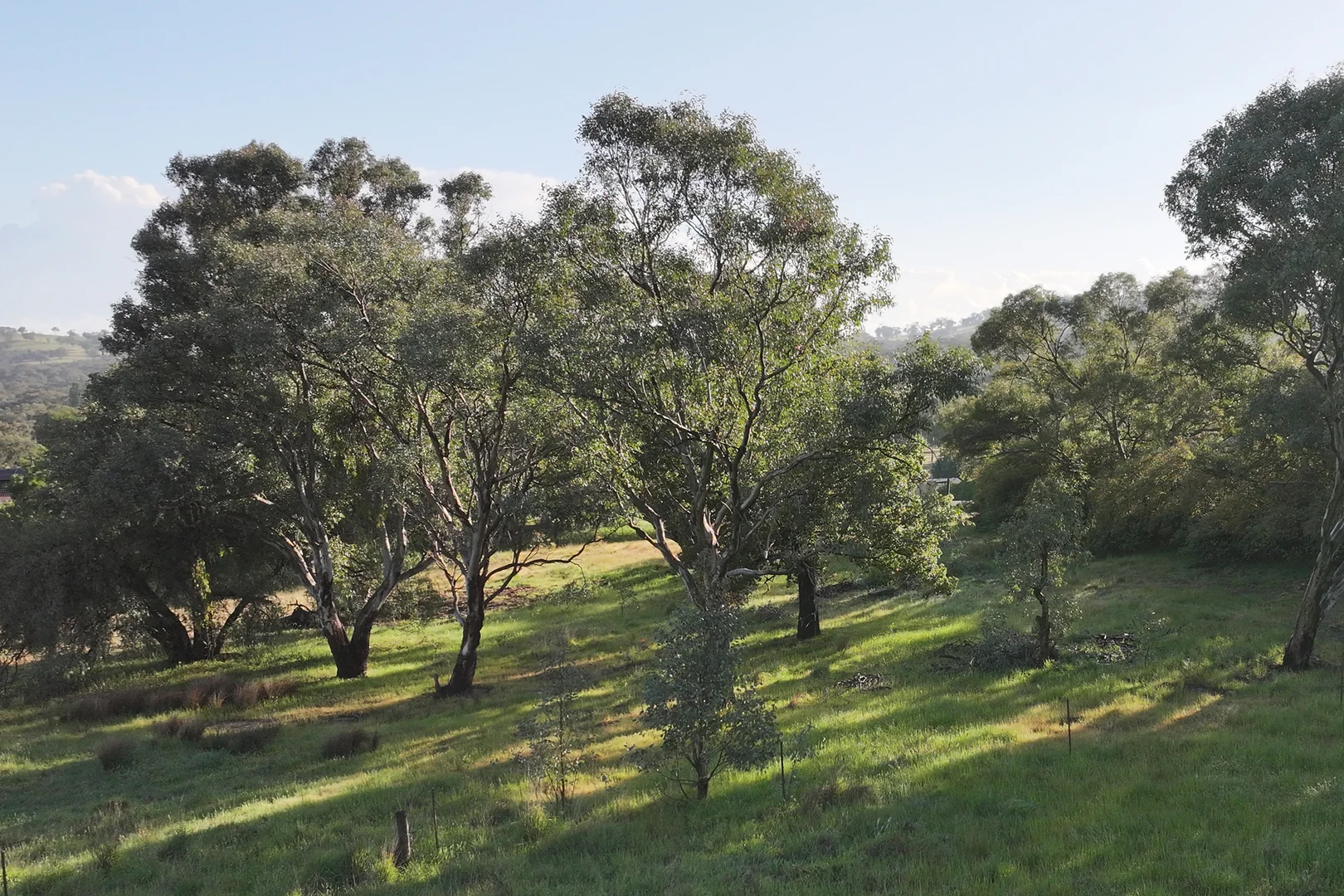 Additional image 12 of 18 Mylora Street, Binalong NSW 2584