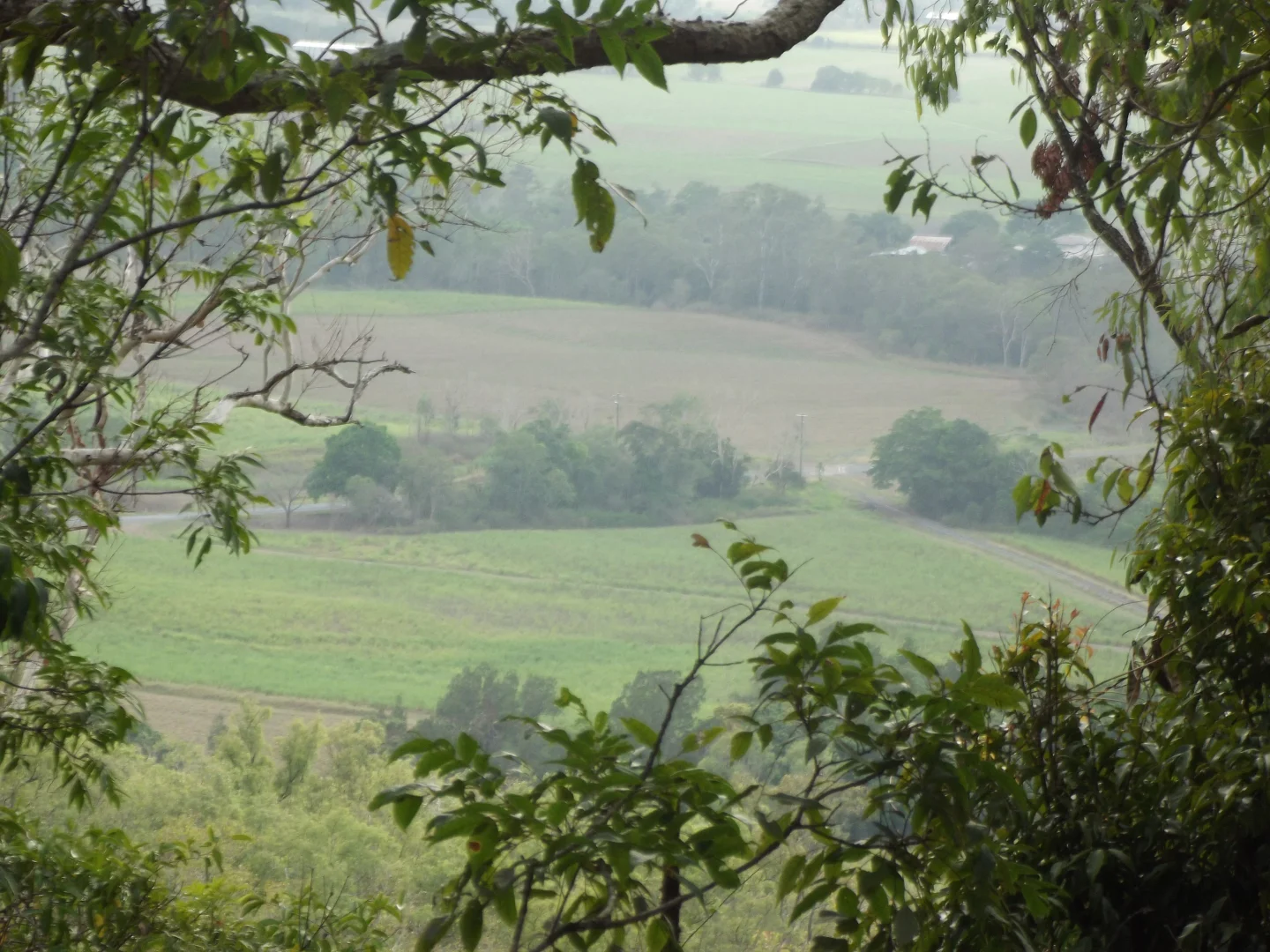 Additional image 4 of 617 Devereux Creek Road, Devereux Creek QLD 4753