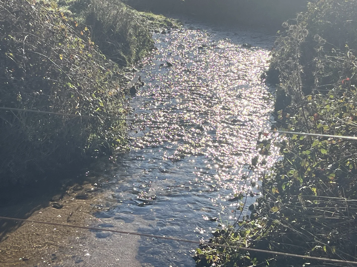 Additional image 5 of . Powers Road, Pyengana TAS 7216