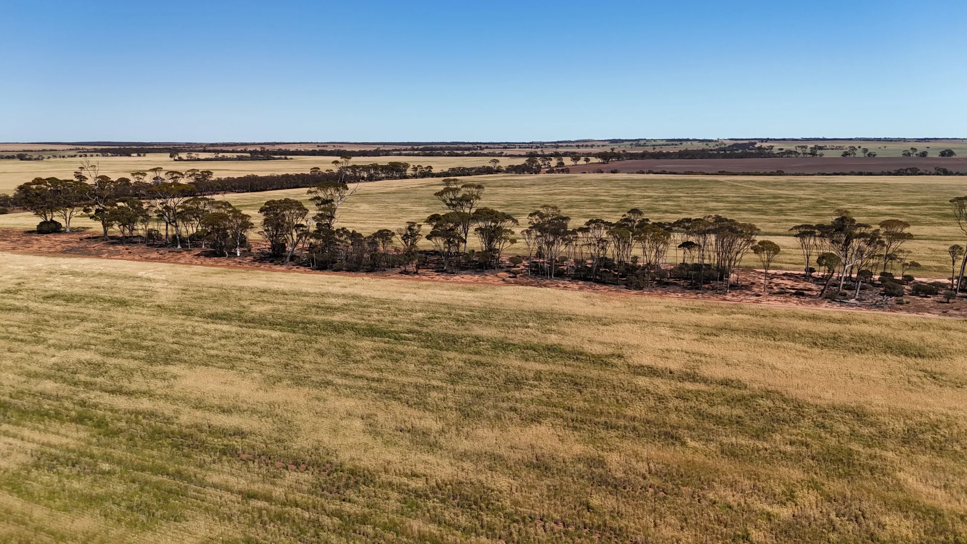 Additional image 47 of 3279 Calzoni Road, Hyden WA 6359