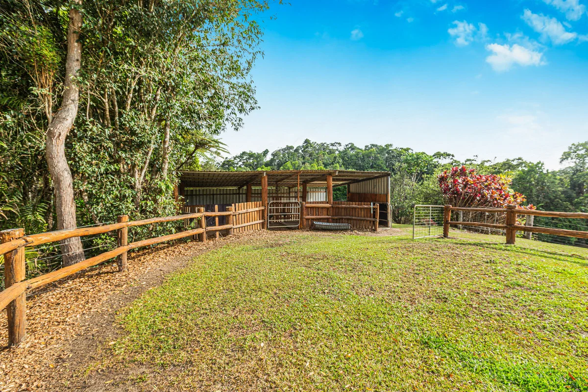 Additional image 30 of 222 Hitchconole Road, Tarzali QLD 4885