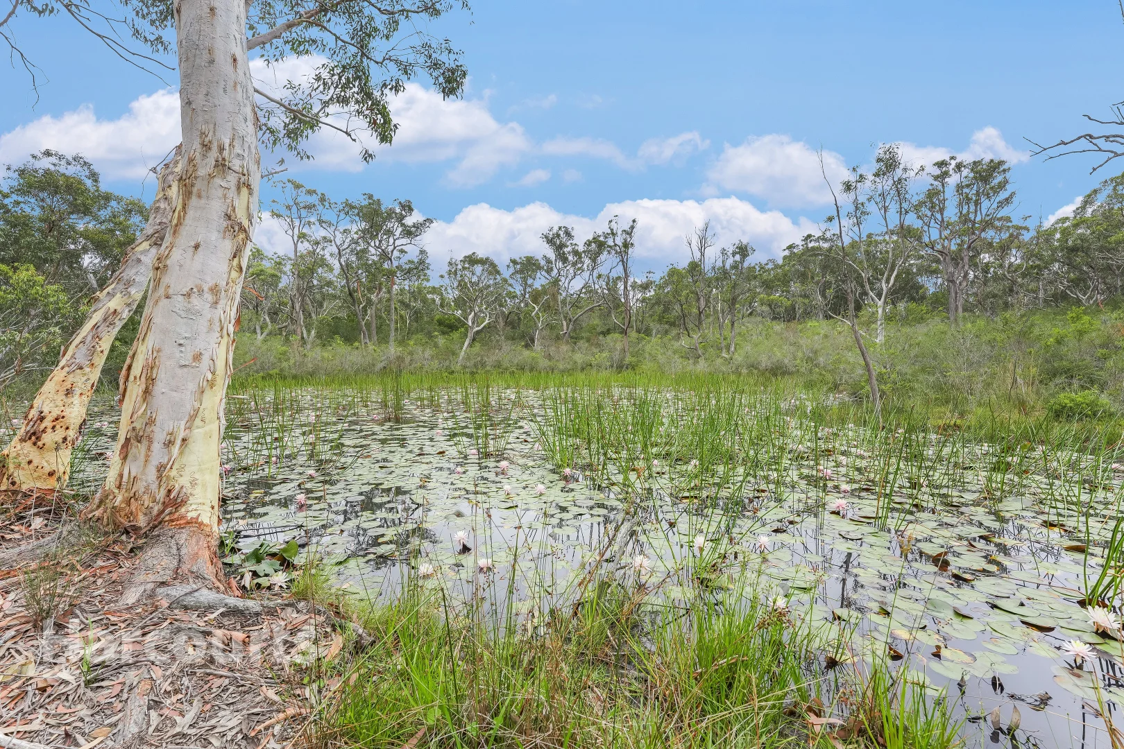 Additional image 20 of 49 Lysaght Road, Wedderburn NSW 2560
