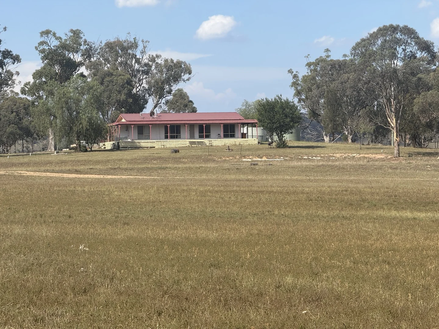 207 Redmanvale Road, Jerrys Plains NSW 2330