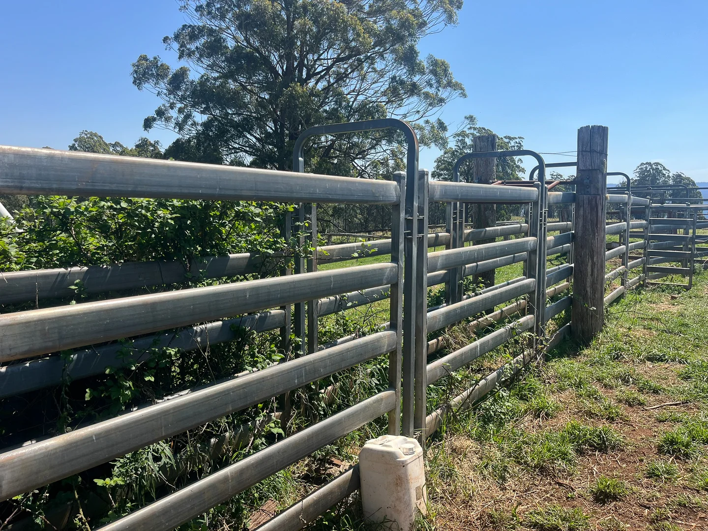 Additional image 19 of 638 Tops Road, Nowendoc NSW 2354