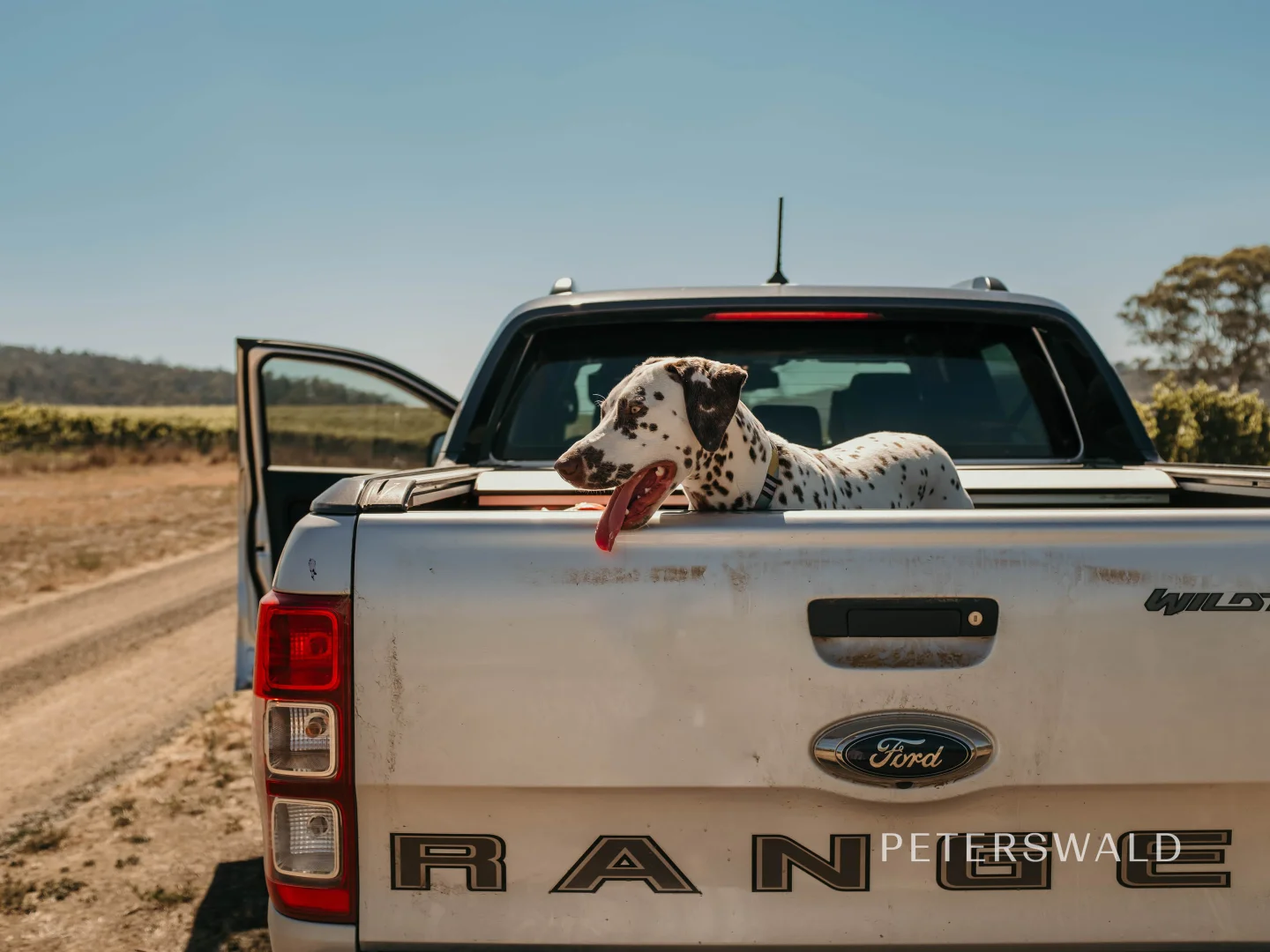 Additional image 7 of 5/449-471 Rockmount Road, Ellendale TAS 7140