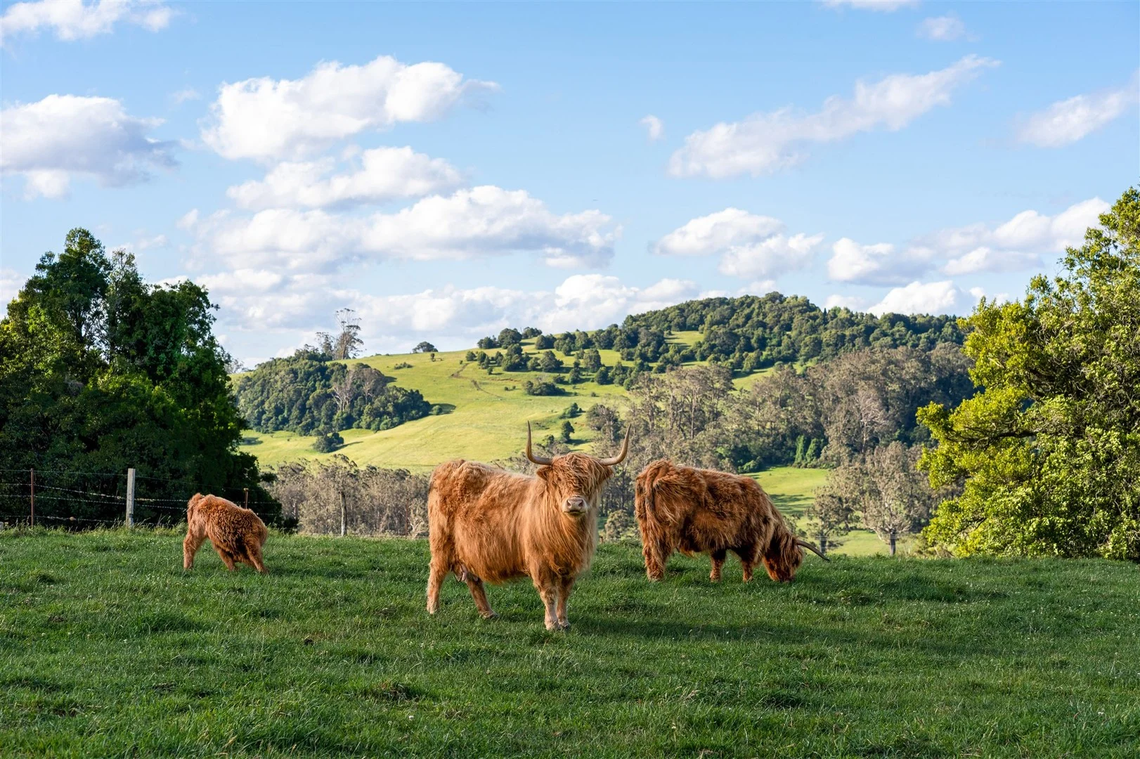 4980 Illawarra Highway, Robertson NSW 2577