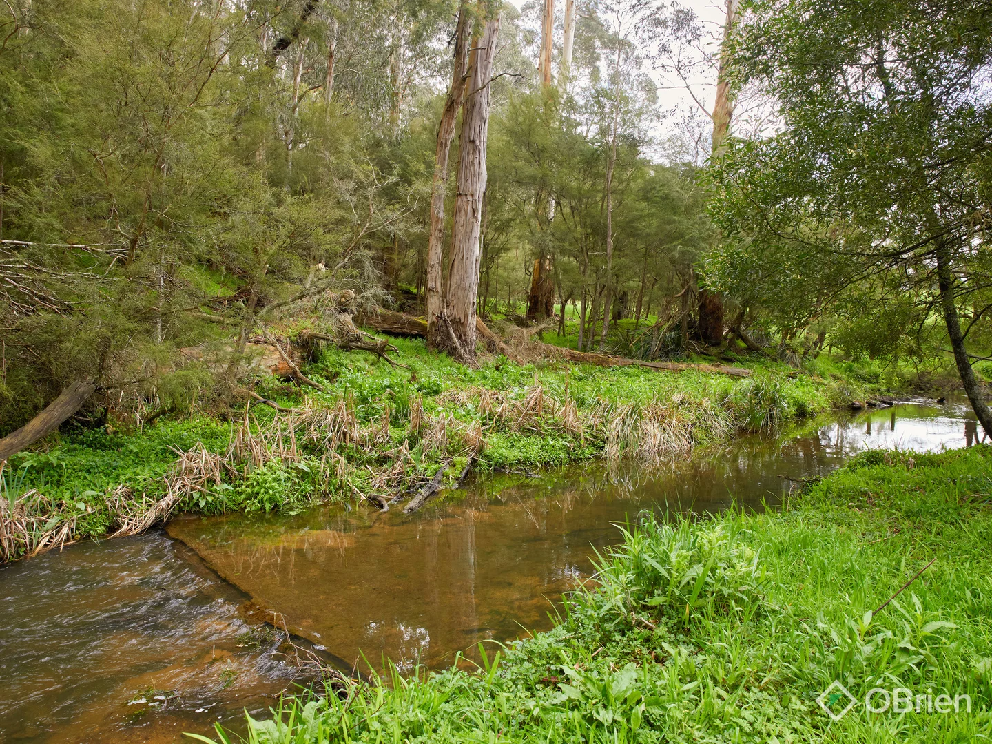 Additional image 19 of 11 Whytes Place, Neerim South VIC 3831