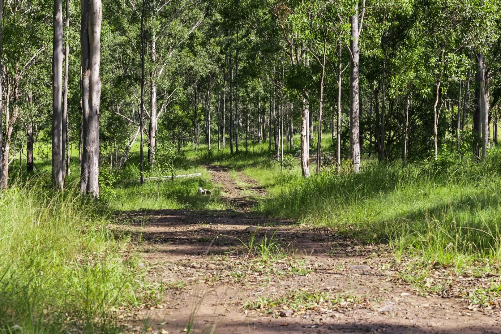 Additional image 6 of 62-69 Duck Creek Road, Bonalbo NSW 2469