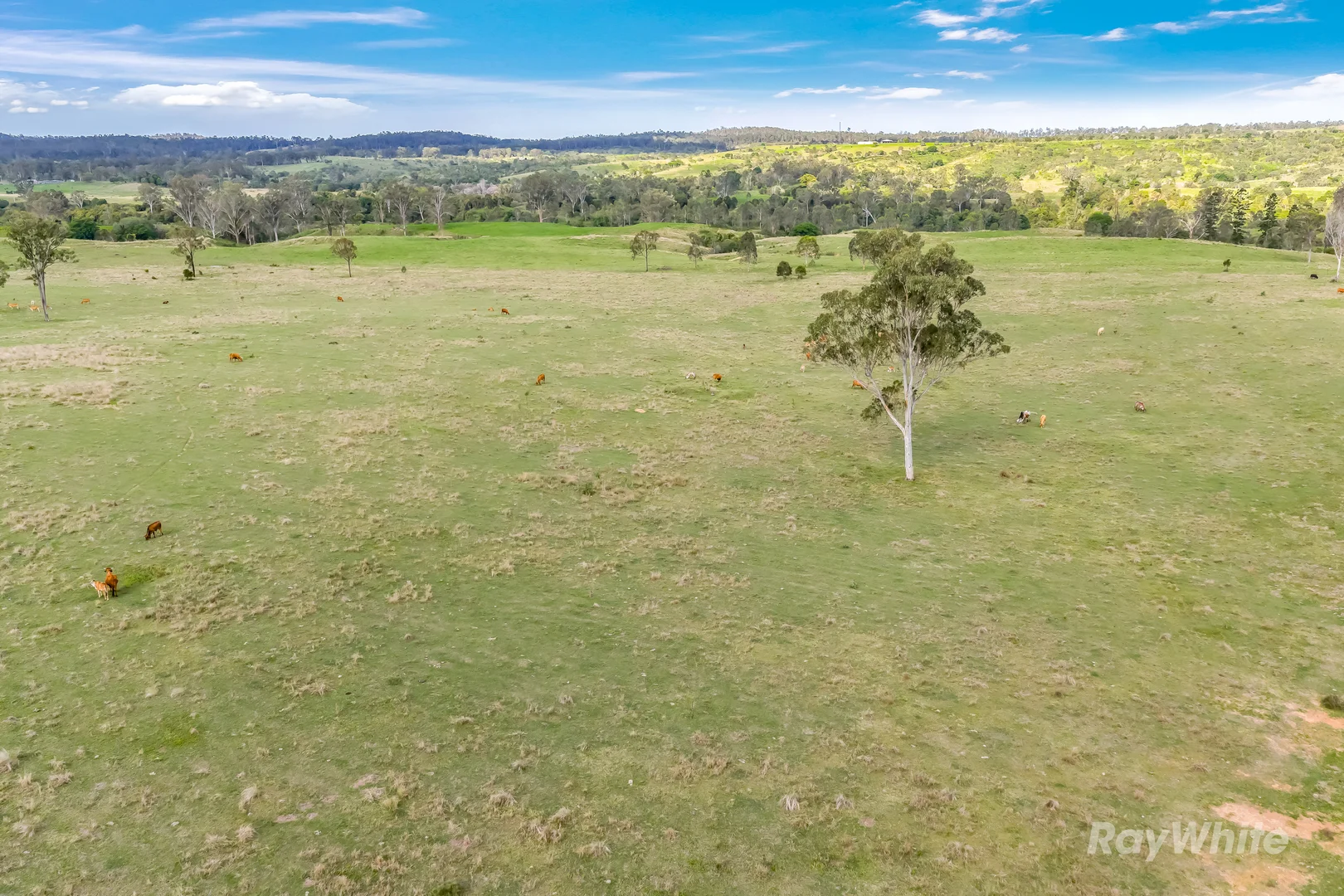 Additional image 7 of 595 Walla Road, Morganville QLD 4671