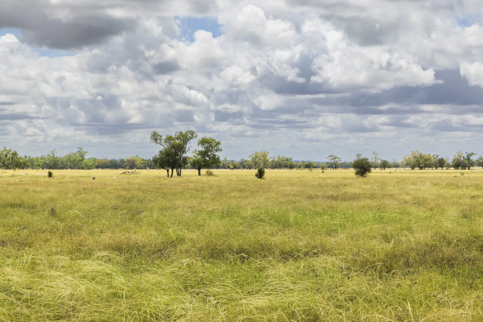Additional image 7 of 205 Redbank Road, Roma QLD 4455
