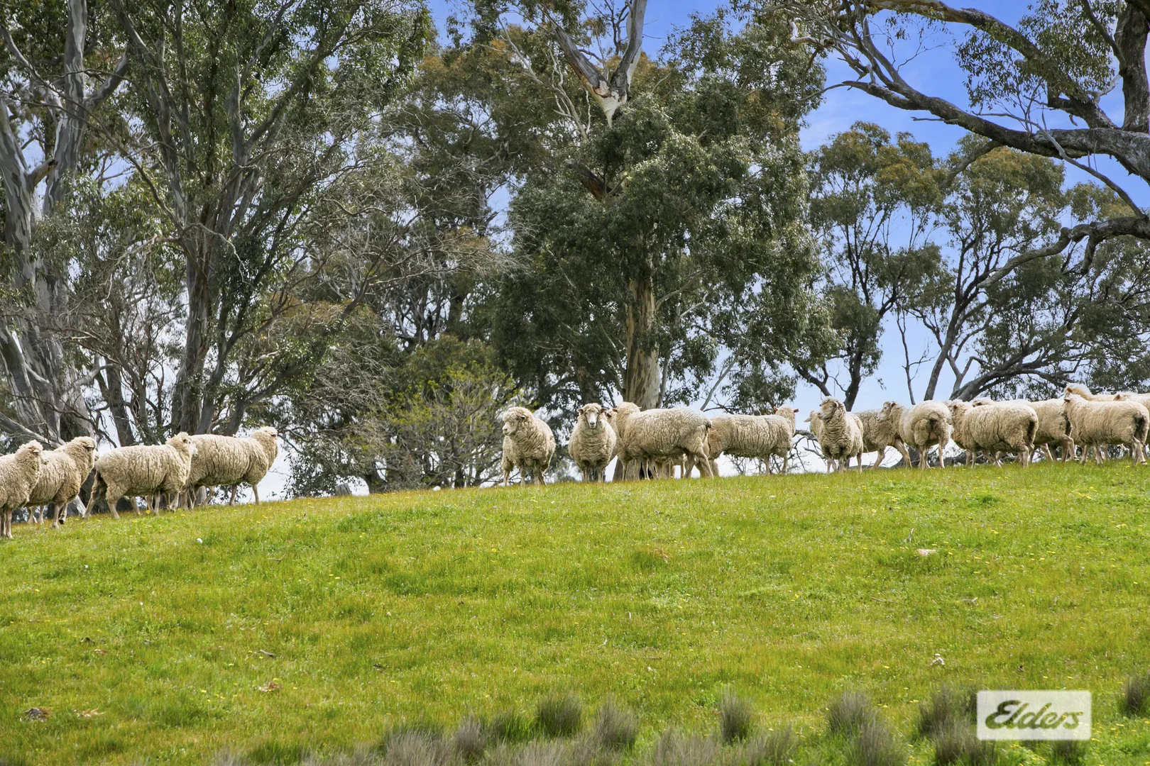 Additional image 32 of CA 18,92,9 Raeburn Road, Paradise VIC 3477