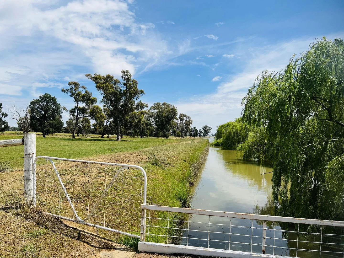 Additional image 17 of 651 Jerilderie Road, Berrigan NSW 2712