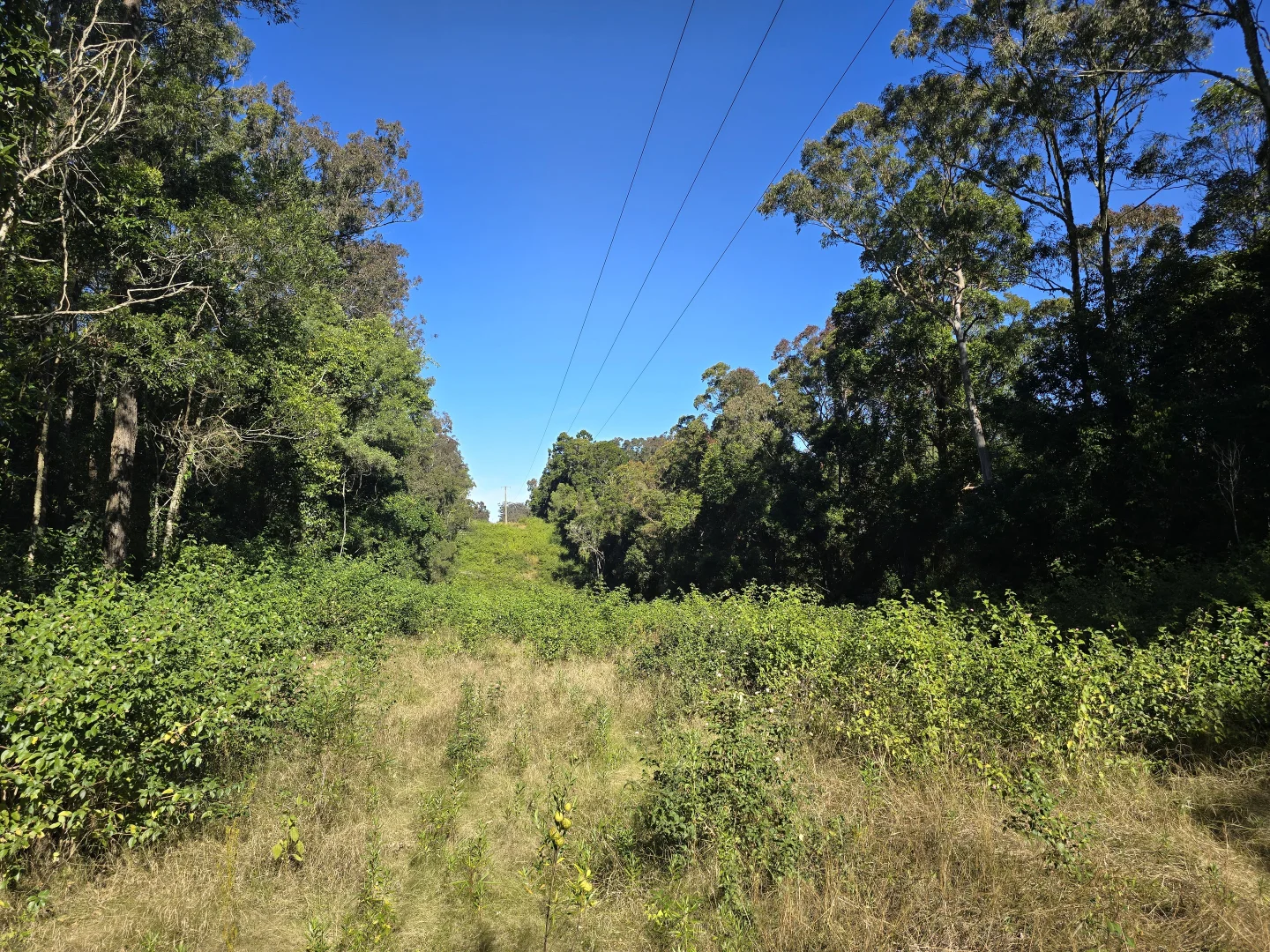 Additional image 11 of 0 SUNDAY CREEK ROAD, Jimna QLD 4515