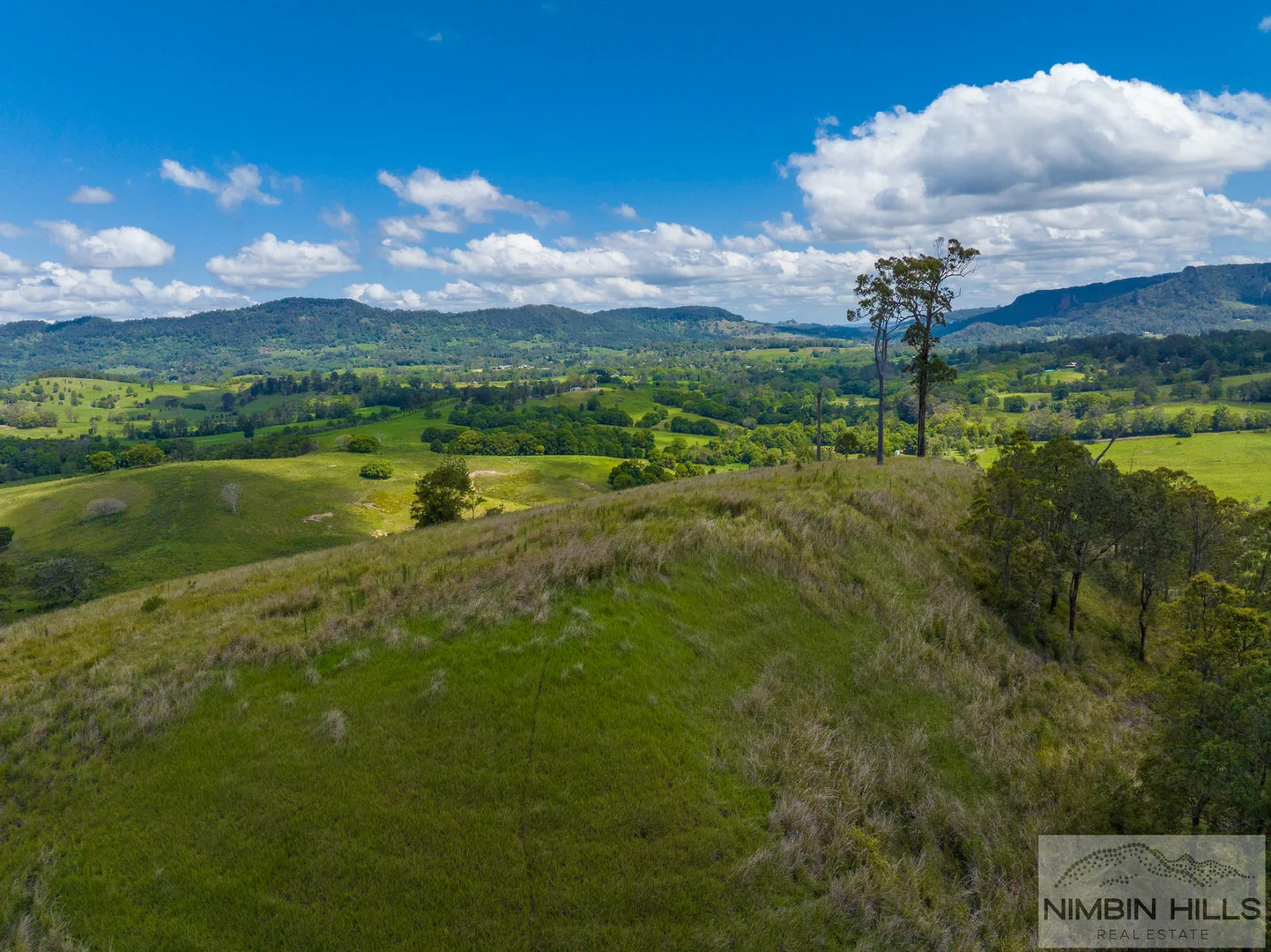 Additional image 34 of 19 Moffitt Road, Nimbin NSW 2480