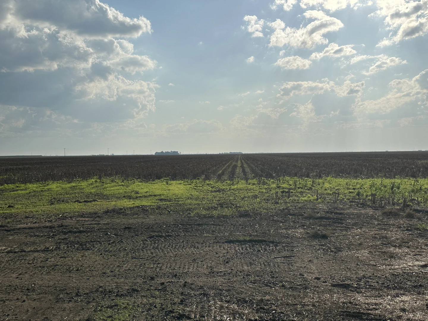 Additional image 10 of 2094 West Prairie Road, West Prairie QLD 4403