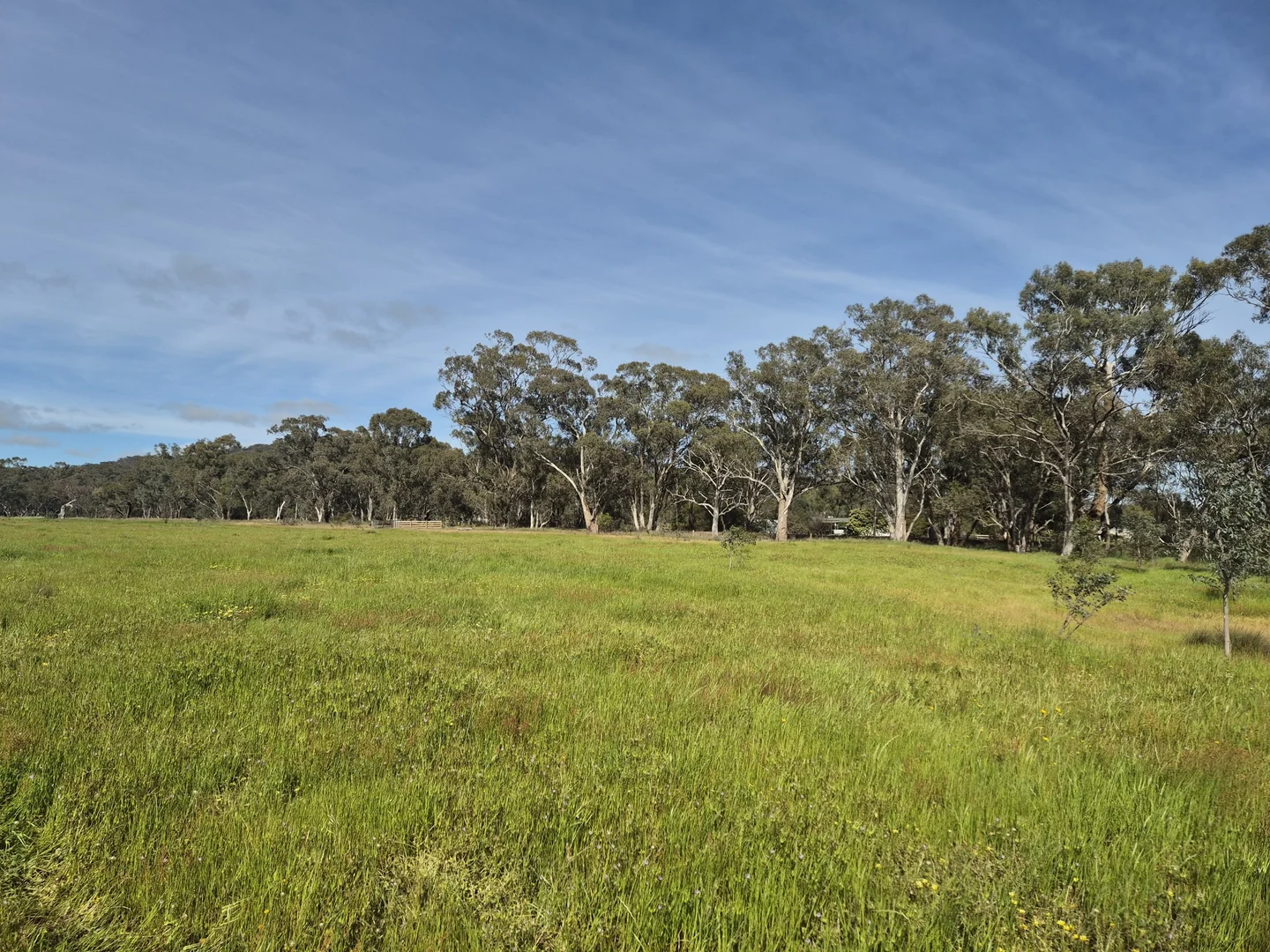 Additional image 32 of 50 Ramage Road, Violet Town VIC 3669