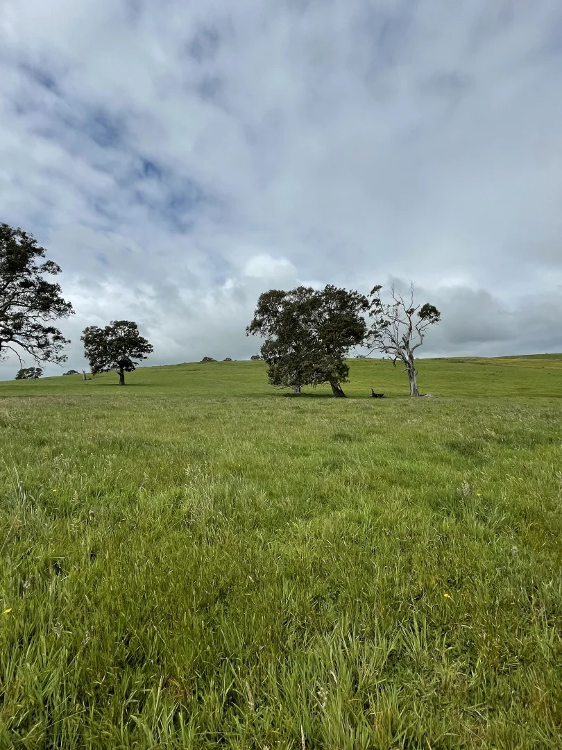 Additional image 3 of Portland-Casterton Road, Henty VIC 3312