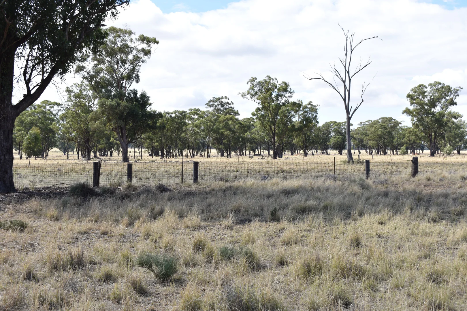 Additional image 34 of 987 Boorr Hill Road, Bruie Plains NSW 2875