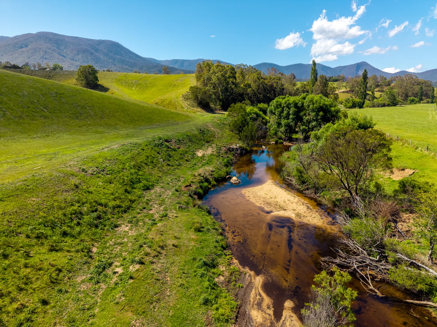 Additional image 23 of 247 Brown Pearsons Road, Bemboka NSW 2550