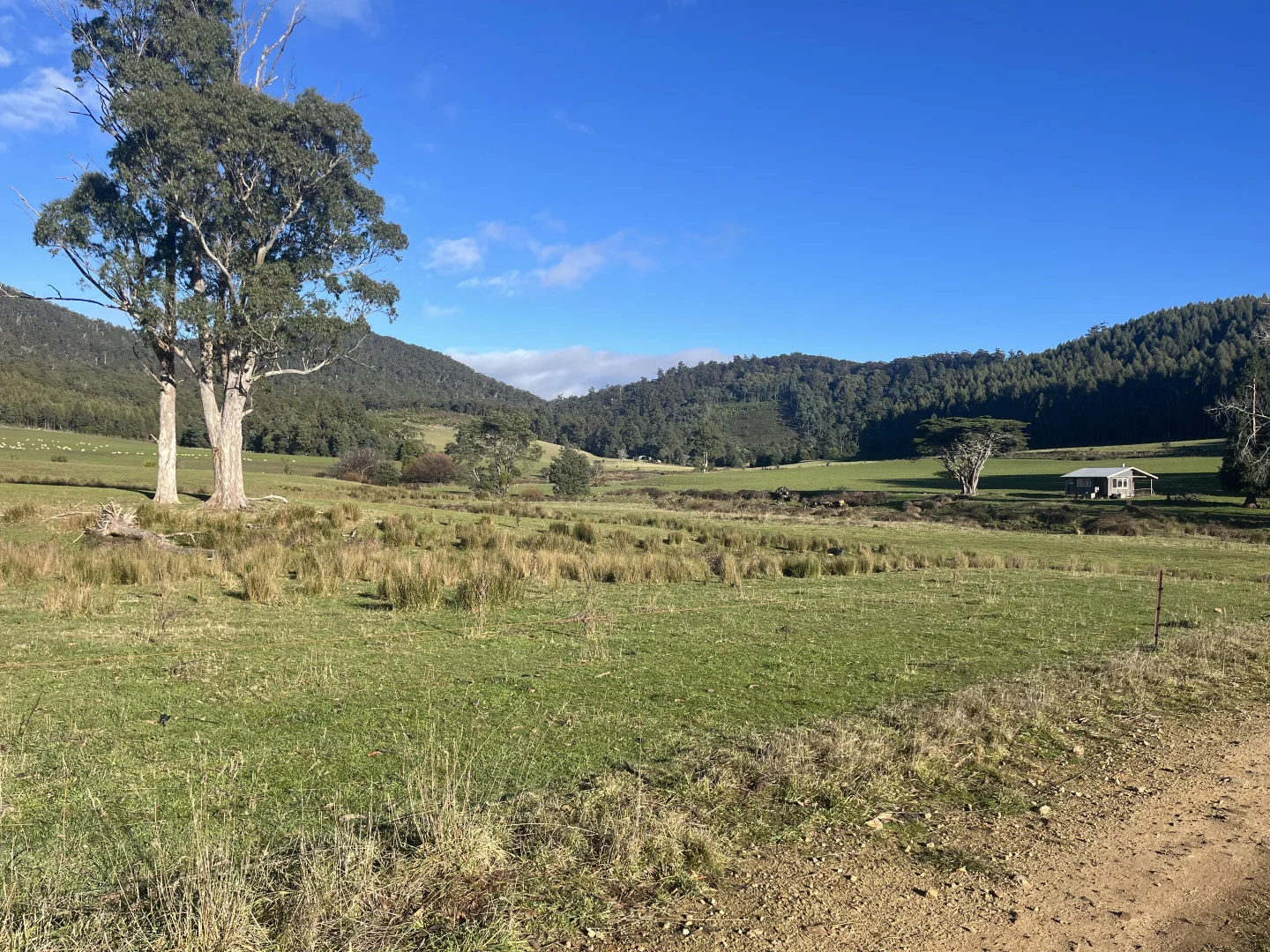 Additional image 12 of . Powers Road, Pyengana TAS 7216